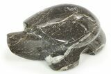 Carved Fossil Horn Coral Turtle - Idaho #308666-1